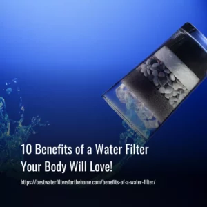 Read more about the article 25 Benefits of a Water Filter Your Body Will Love!