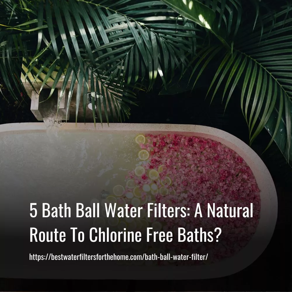 Best Bath Ball Water Filters