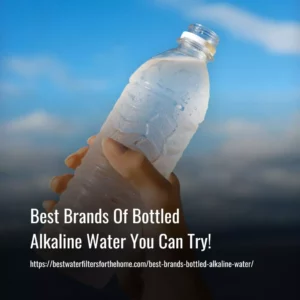 Read more about the article 10 Best Natural Alkaline Water Bottle Brands For 2023