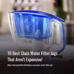 Read more about the article 10 Best Glass Water Filter Pitchers and Jugs to Buy in 2023