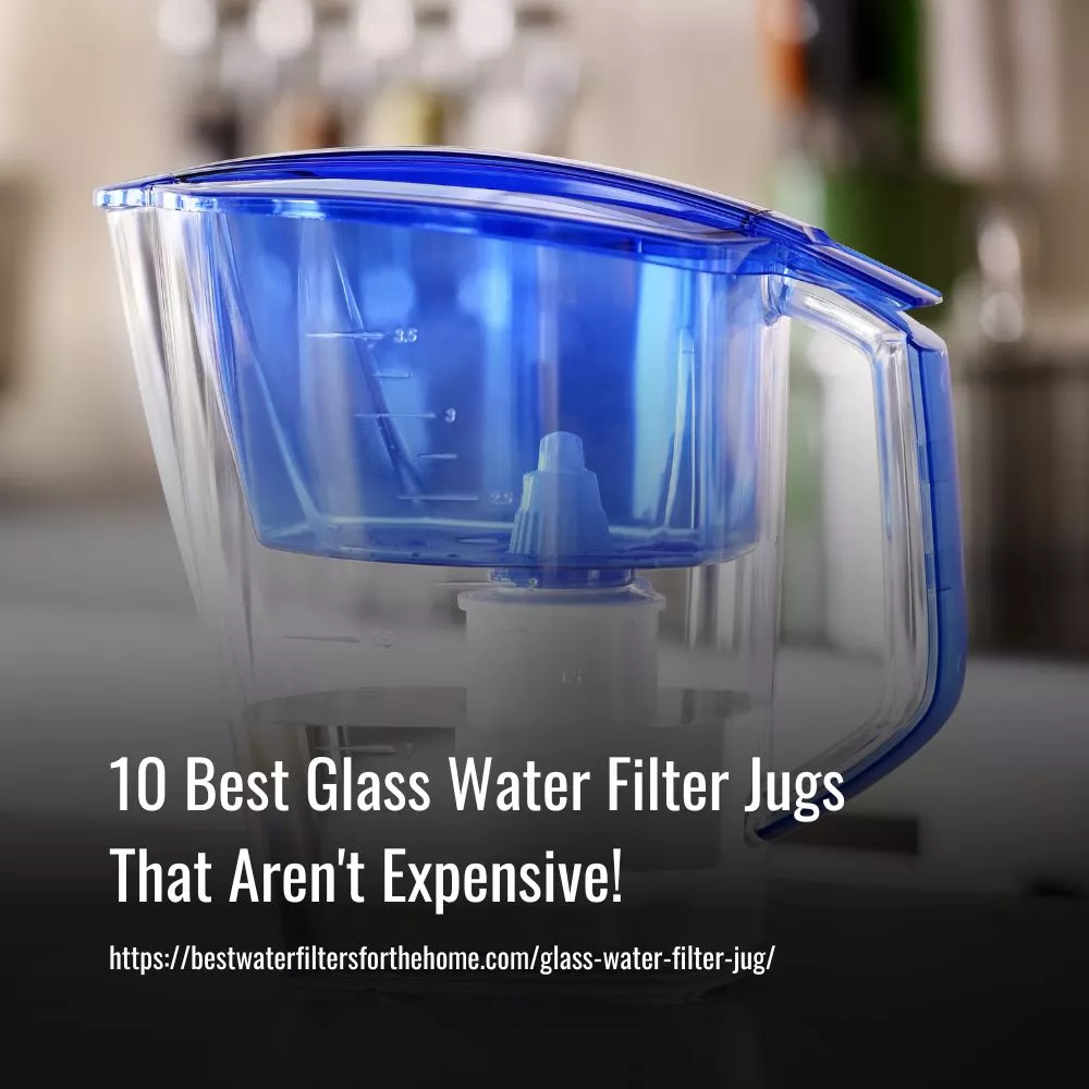 Best Glass Water Filter Pitcher Jug