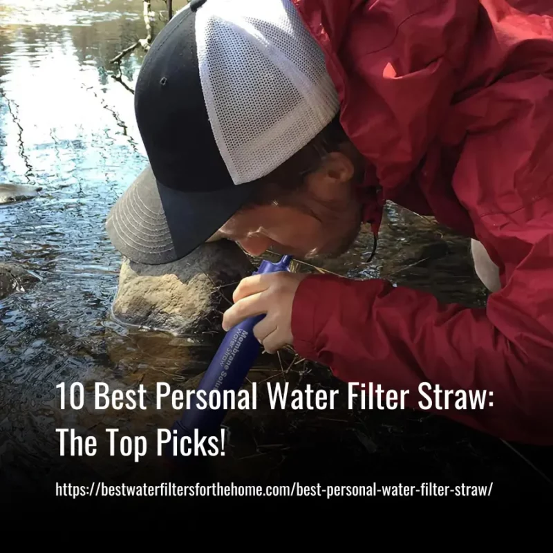 Read more about the article 10 Best Personal Water Filter Straw: The Top Picks of 2023