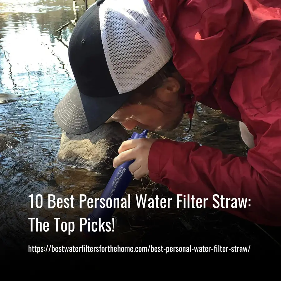 Best Personal Water Filter Straw