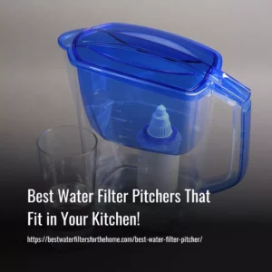 Read more about the article The 10 Best Water Filter Pitchers That Fit in Your Kitchen!