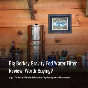 Read more about the article Big Berkey Gravity-Fed Water Filter Review: Worth Buying?