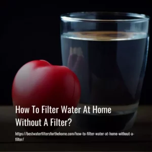Read more about the article How To Filter Water At Home Without A Filter?