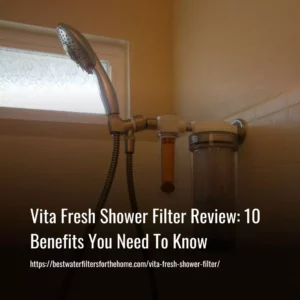 Read more about the article Vita Fresh Shower Filter Review: 10 Benefits You Need To Know
