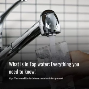 Read more about the article What is in Tap water: Everything you need to know!