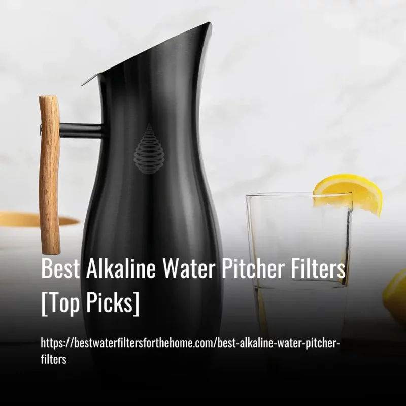 Read more about the article 10 Best Alkaline Water Pitcher Filters of 2023 [Top Picks]