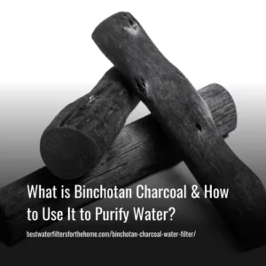 Read more about the article What Is Binchotan Charcoal & How To Use It To Purify Water?