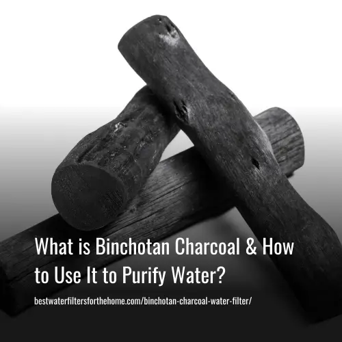 What Is Binchotan Charcoal