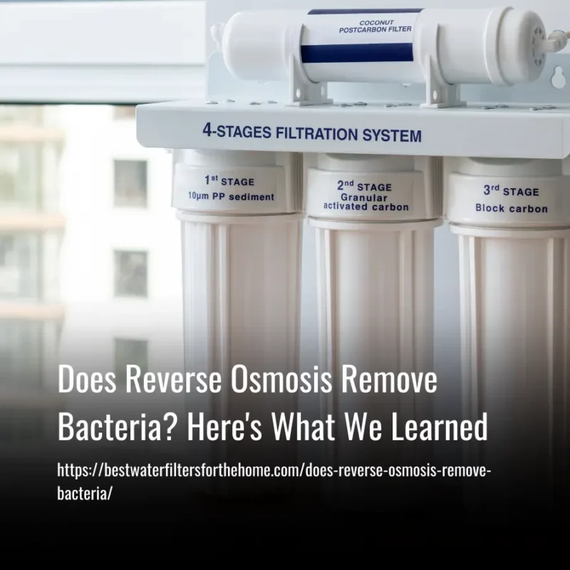 Read more about the article Does Reverse Osmosis Remove Bacteria? Here’s What We Learned