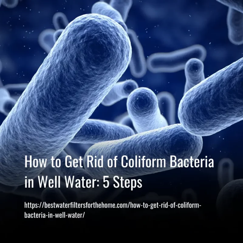 Read more about the article How to Get Rid of Coliform Bacteria in Well Water: 5 Steps