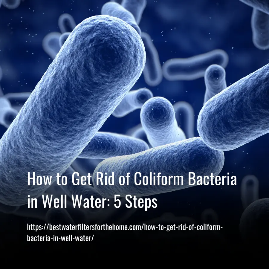 how to get rid of coliform bacteria in well water