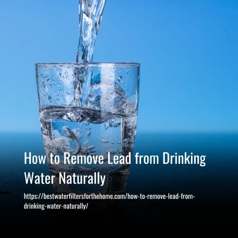 Read more about the article How to Remove Lead from Drinking Water Naturally