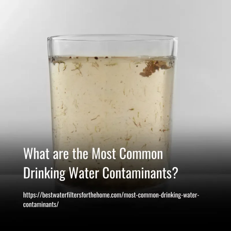 Read more about the article What are the Most Common Drinking Water Contaminants?