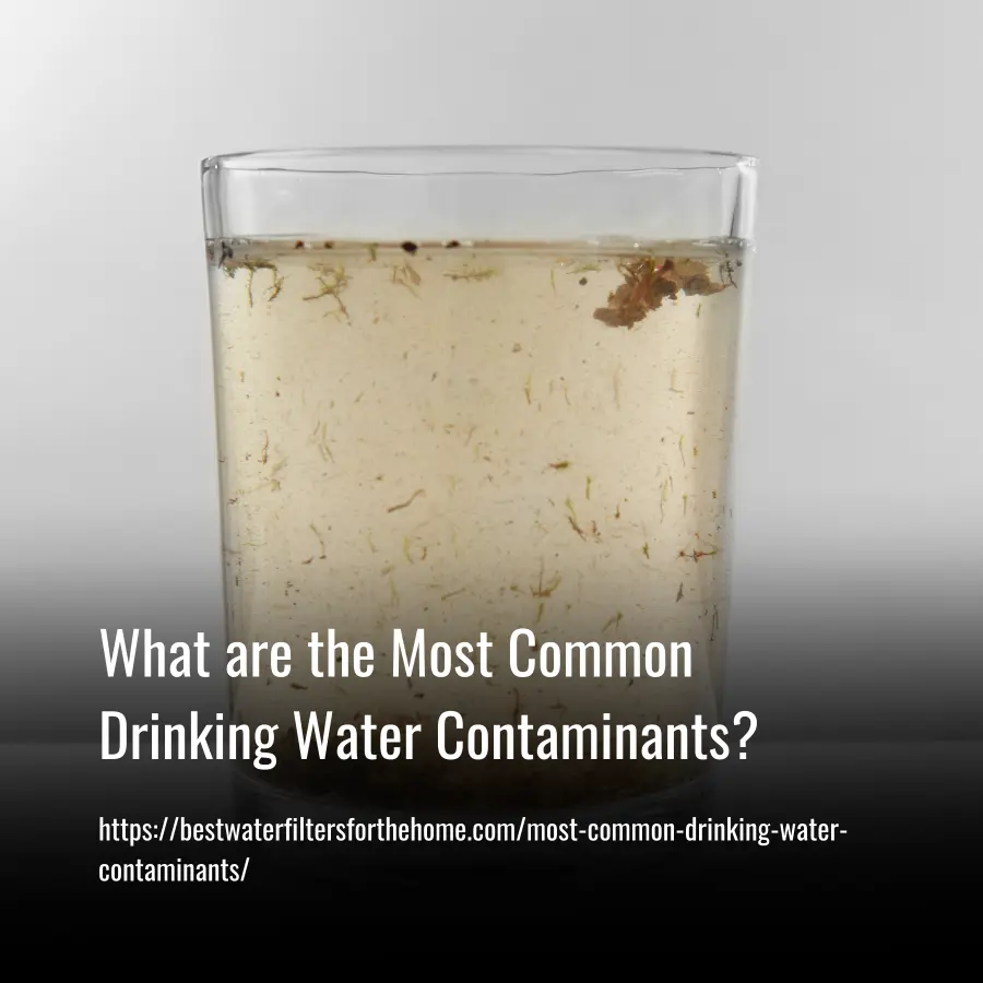 most common drinking water contaminants