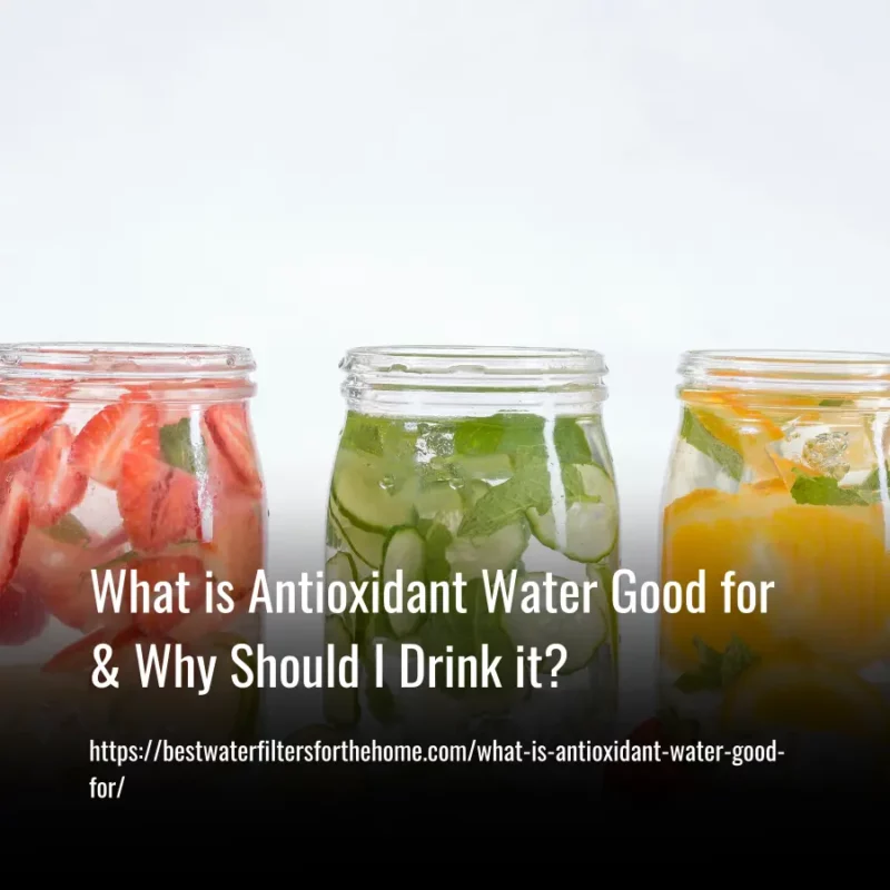 Read more about the article What is Antioxidant Water Good for & Why Should I Drink it?