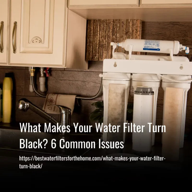 Read more about the article What Makes Your Water Filter Turn Black? 6 Common Issues