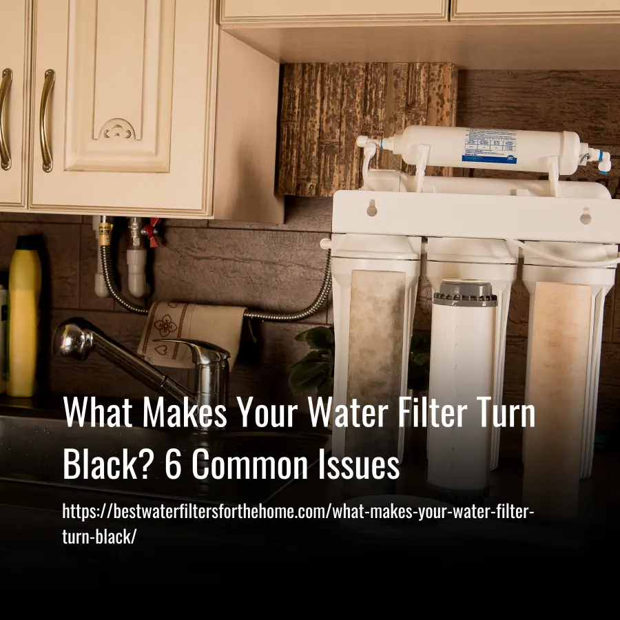 what makes your water filter turn black