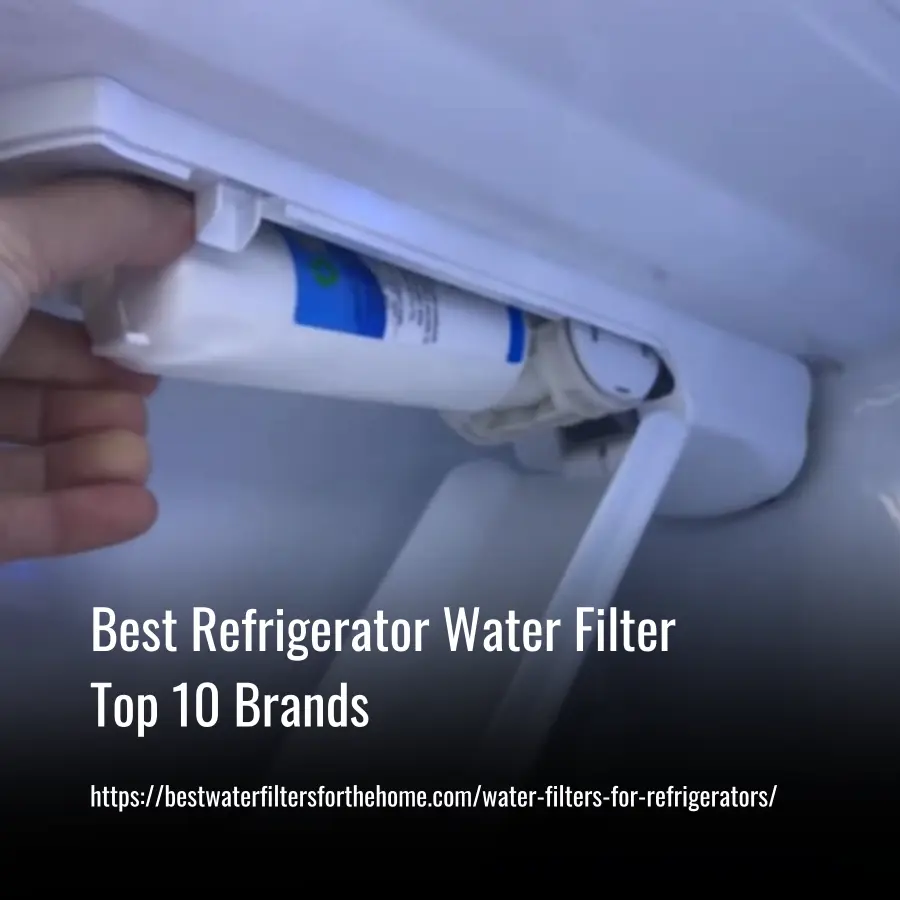 Best Refrigerator Water Filter