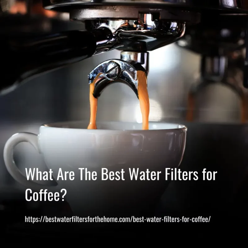 Read more about the article What Are The Best Water Filters for Coffee In 2023?