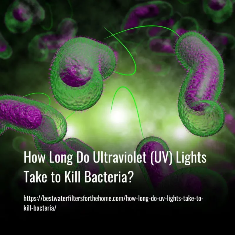 Read more about the article How Long Do Ultraviolet (UV) Lights Take to Kill Bacteria?