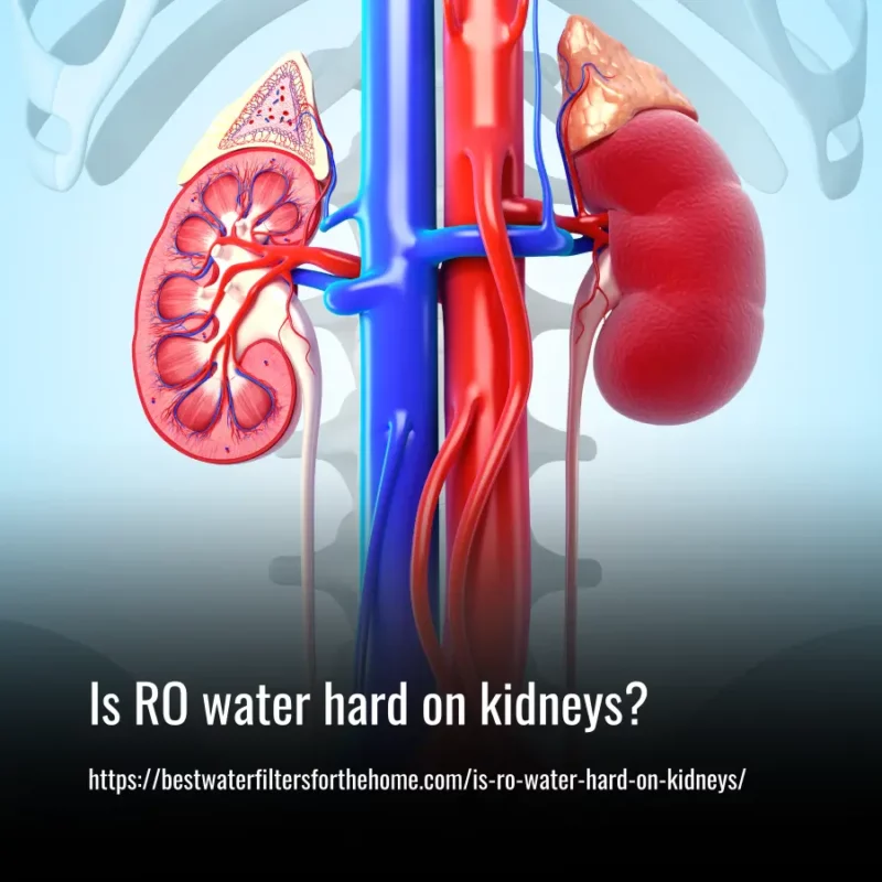 Read more about the article Is RO water hard on kidneys?