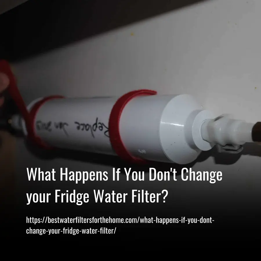 What Happens If You Don't Change your Fridge Water Filter