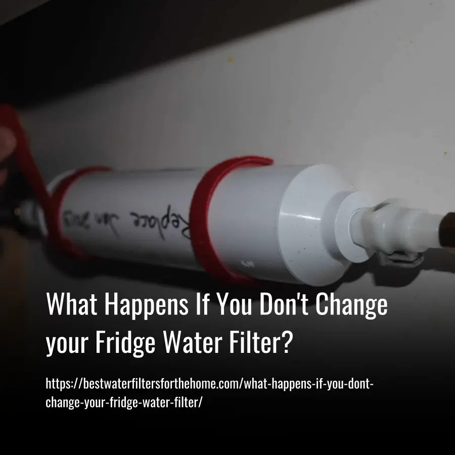 what-happens-if-you-don-t-change-your-fridge-water-filter