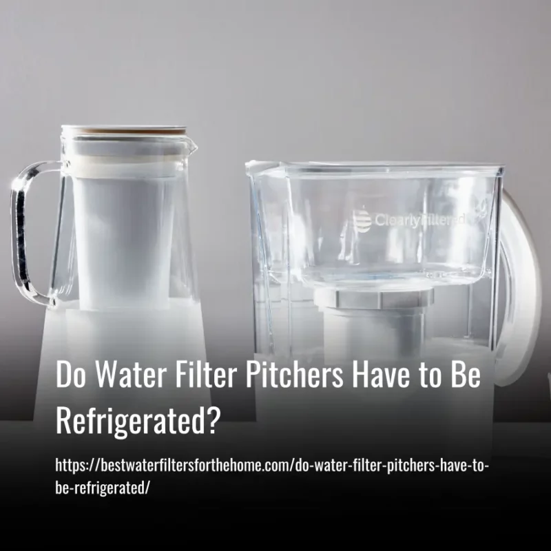 Read more about the article Do Water Filter Pitchers Have to Be Refrigerated?