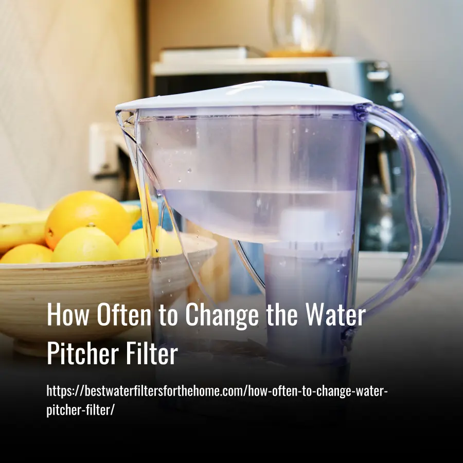 how often to change water pitcher filter
