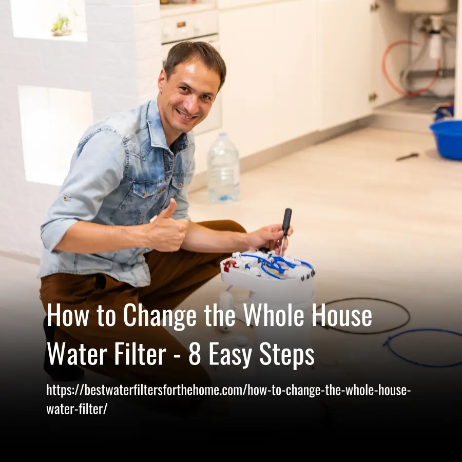 how to change the whole house water filter