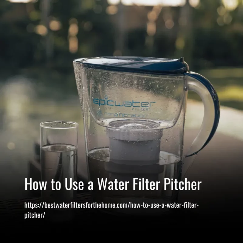 Read more about the article How to Use a Water Filter Pitcher