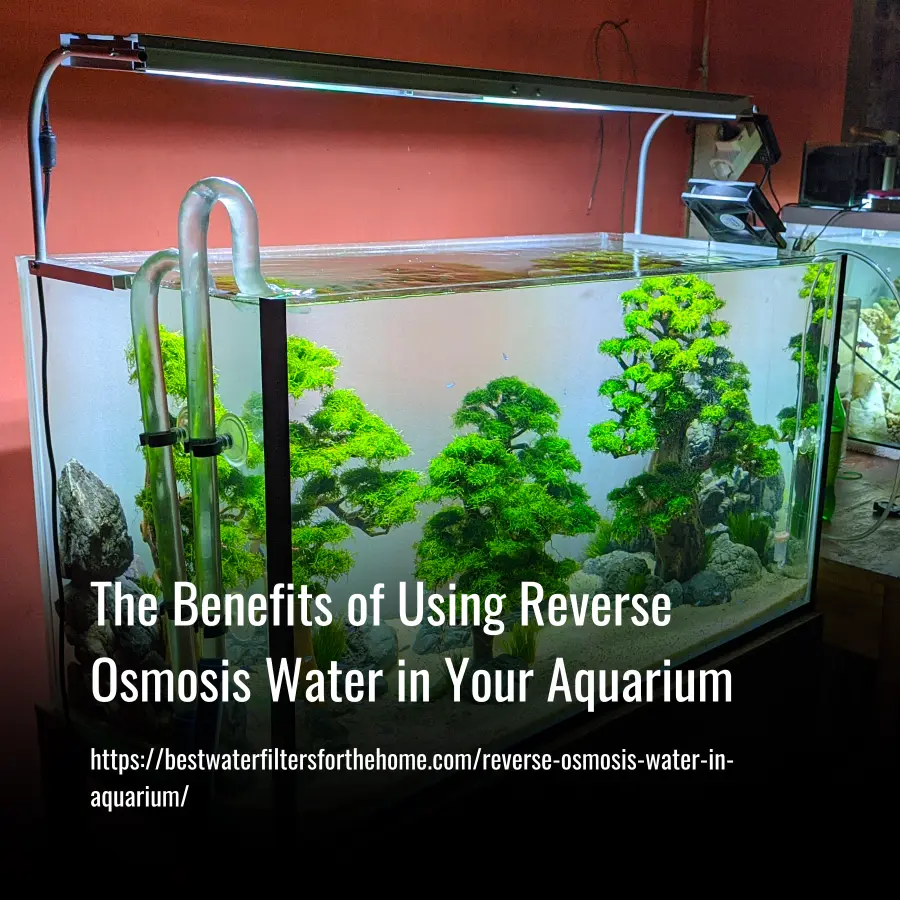 Reverse Osmosis Water In Aquarium