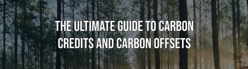 Read more about the article The Ultimate Guide to Carbon Water Filter Lifespan