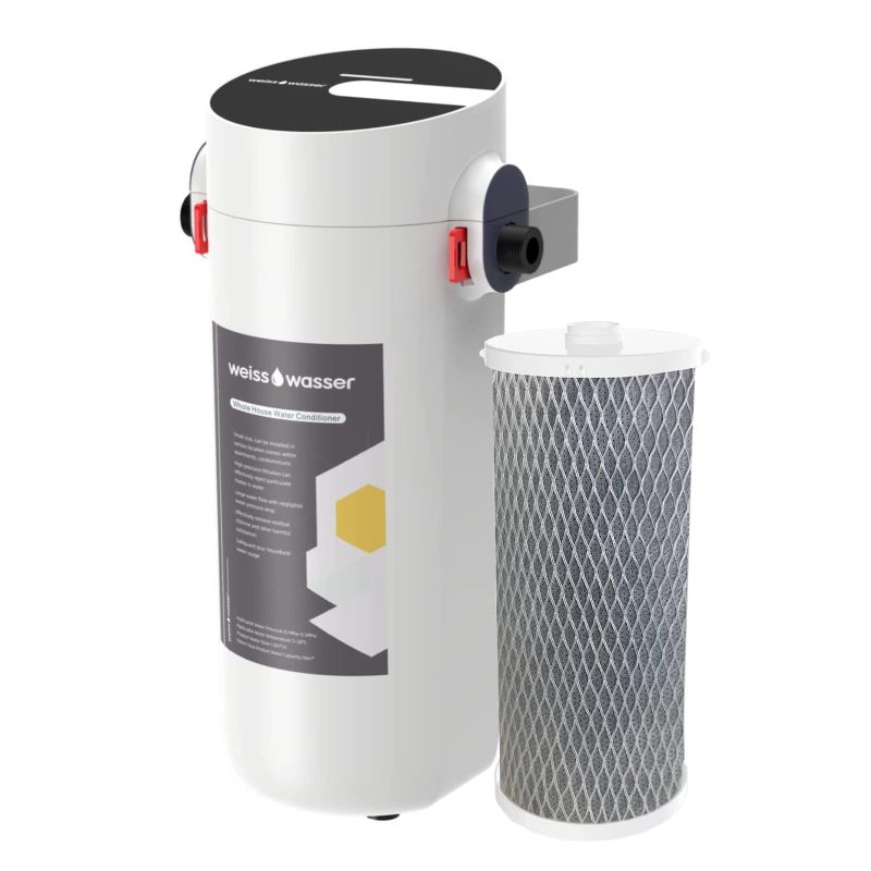 Read more about the article Eliminate Manganese: The Surprising Truth About Carbon Filter