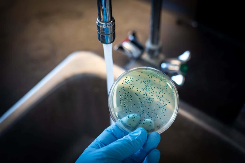 Read more about the article Discover: How Effective is UV Filter in Killing Water Bacteria?